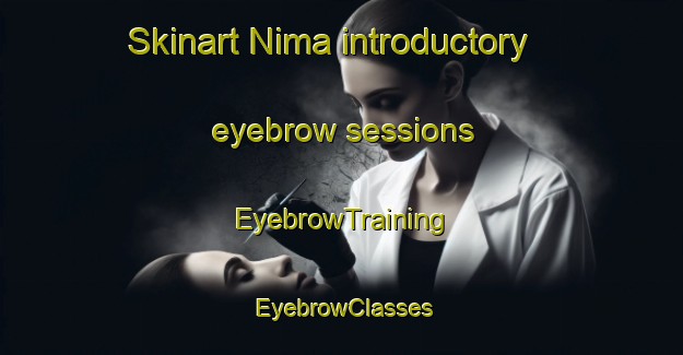 Skinart Nima introductory eyebrow sessions | EyebrowTraining | EyebrowClasses | SkinartTraining-Nigeria