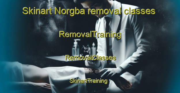 Skinart Norgba removal classes | RemovalTraining | RemovalClasses | SkinartTraining-Nigeria