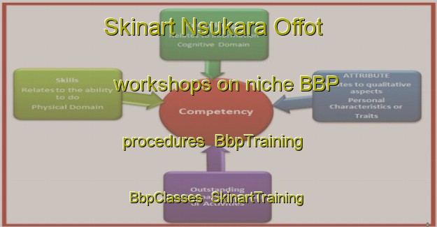 Skinart Nsukara Offot workshops on niche BBP procedures | BbpTraining | BbpClasses | SkinartTraining-Nigeria
