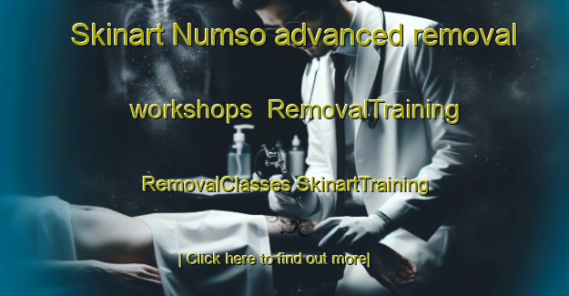 Skinart Numso advanced removal workshops | #RemovalTraining #RemovalClasses #SkinartTraining-Nigeria