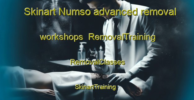 Skinart Numso advanced removal workshops | RemovalTraining | RemovalClasses | SkinartTraining-Nigeria
