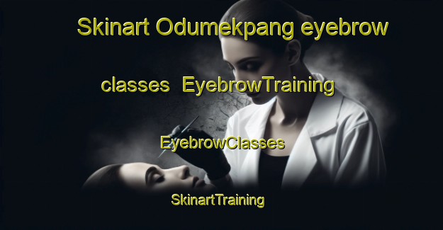 Skinart Odumekpang eyebrow classes | EyebrowTraining | EyebrowClasses | SkinartTraining-Nigeria