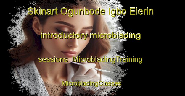 Skinart Ogunbode Igbo Elerin introductory microblading sessions | MicrobladingTraining | MicrobladingClasses | SkinartTraining-Nigeria