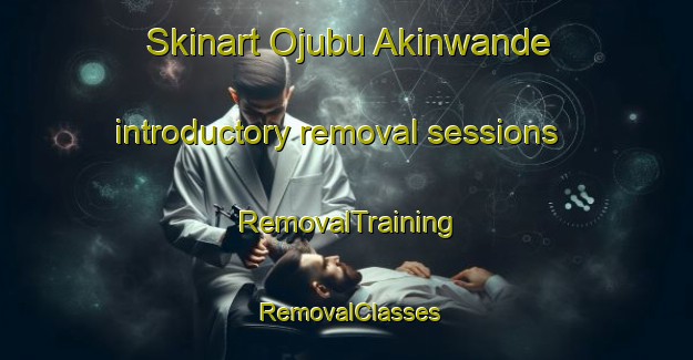 Skinart Ojubu Akinwande introductory removal sessions | RemovalTraining | RemovalClasses | SkinartTraining-Nigeria