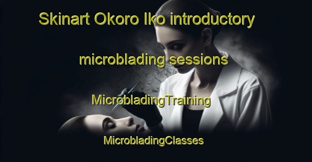 Skinart Okoro Iko introductory microblading sessions | MicrobladingTraining | MicrobladingClasses | SkinartTraining-Nigeria