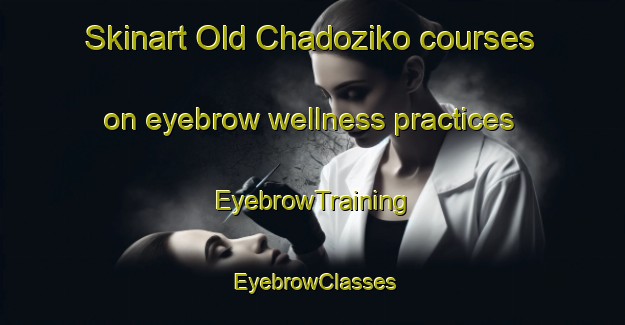 Skinart Old Chadoziko courses on eyebrow wellness practices | EyebrowTraining | EyebrowClasses | SkinartTraining-Nigeria