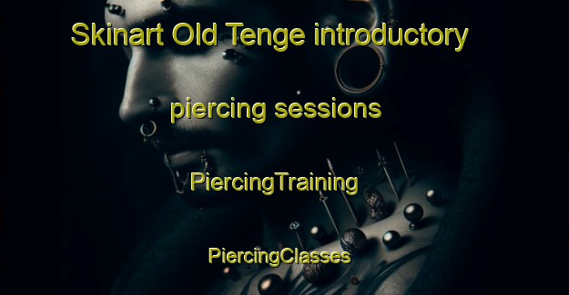 Skinart Old Tenge introductory piercing sessions | PiercingTraining | PiercingClasses | SkinartTraining-Nigeria