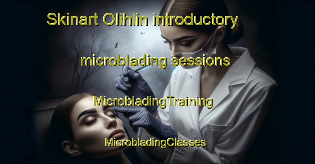 Skinart Olihlin introductory microblading sessions | MicrobladingTraining | MicrobladingClasses | SkinartTraining-Nigeria