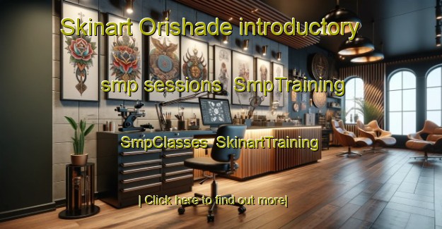 Skinart Orishade introductory smp sessions | SmpTraining | SmpClasses | SkinartTraining-Nigeria