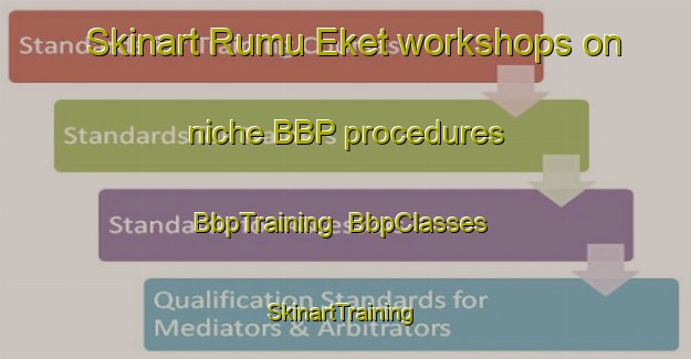 Skinart Rumu Eket workshops on niche BBP procedures | BbpTraining | BbpClasses | SkinartTraining-Nigeria