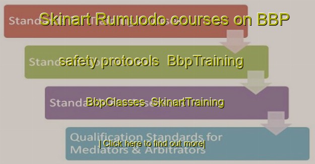 Skinart Rumuodo courses on BBP safety protocols | BbpTraining | BbpClasses | SkinartTraining-Nigeria