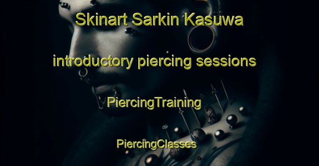 Skinart Sarkin Kasuwa introductory piercing sessions | PiercingTraining | PiercingClasses | SkinartTraining-Nigeria