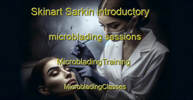 Skinart Sarkin introductory microblading sessions | MicrobladingTraining | MicrobladingClasses | SkinartTraining-Nigeria