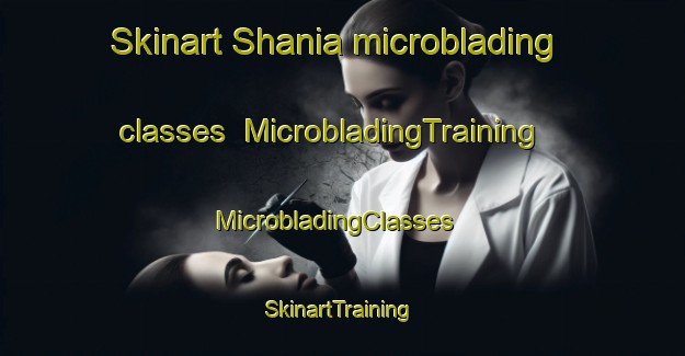Skinart Shania microblading classes | MicrobladingTraining | MicrobladingClasses | SkinartTraining-Nigeria