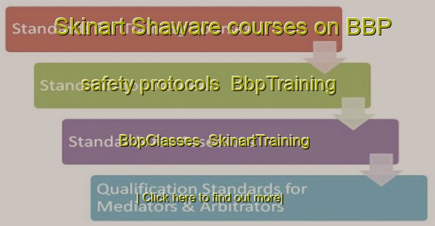 Skinart Shaware courses on BBP safety protocols | BbpTraining | BbpClasses | SkinartTraining-Nigeria