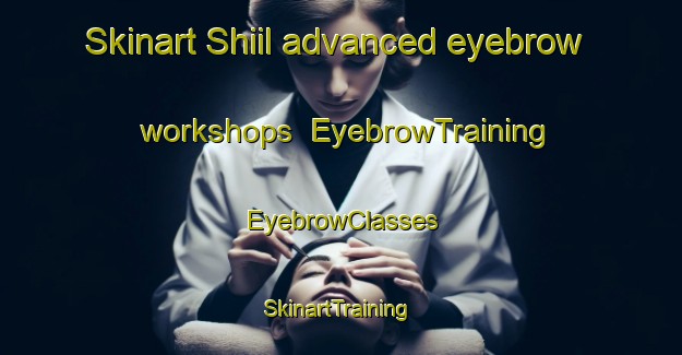 Skinart Shiil advanced eyebrow workshops | EyebrowTraining | EyebrowClasses | SkinartTraining-Nigeria