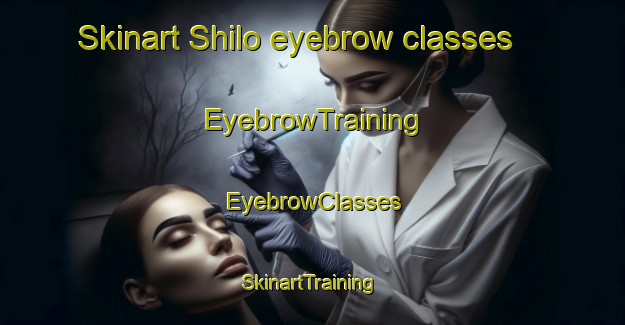 Skinart Shilo eyebrow classes | EyebrowTraining | EyebrowClasses | SkinartTraining-Nigeria