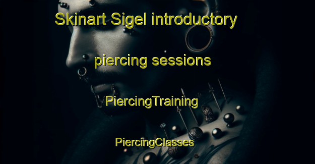 Skinart Sigel introductory piercing sessions | PiercingTraining | PiercingClasses | SkinartTraining-Nigeria