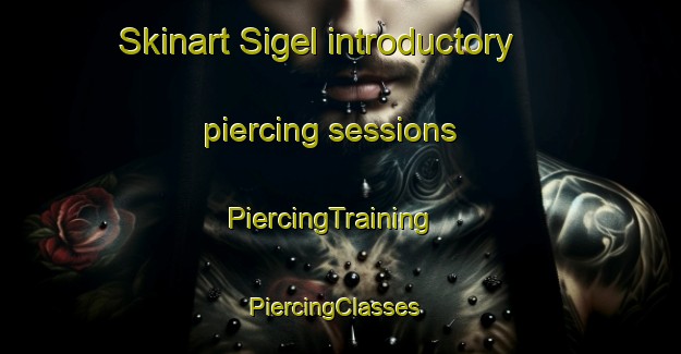 Skinart Sigel introductory piercing sessions | PiercingTraining | PiercingClasses | SkinartTraining-Nigeria