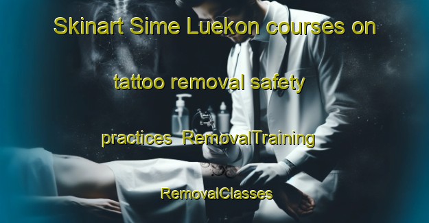Skinart Sime Luekon courses on tattoo removal safety practices | RemovalTraining | RemovalClasses | SkinartTraining-Nigeria