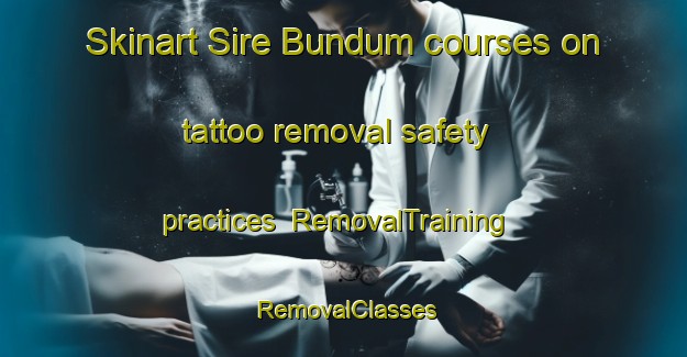 Skinart Sire Bundum courses on tattoo removal safety practices | RemovalTraining | RemovalClasses | SkinartTraining-Nigeria