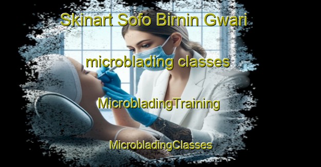 Skinart Sofo Birnin Gwari microblading classes | #MicrobladingTraining #MicrobladingClasses #SkinartTraining-Nigeria