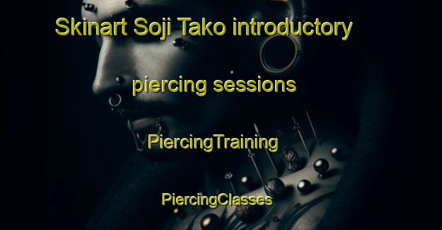 Skinart Soji Tako introductory piercing sessions | PiercingTraining | PiercingClasses | SkinartTraining-Nigeria