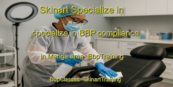 Skinart Specialize in specialize in BBP compliance in Mariga area | BbpTraining | BbpClasses | SkinartTraining-Nigeria