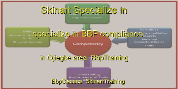 Skinart Specialize in specialize in BBP compliance in Ojiegbe area | BbpTraining | BbpClasses | SkinartTraining-Nigeria
