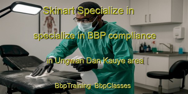 Skinart Specialize in specialize in BBP compliance in Ungwan Dan Kauye area | BbpTraining | BbpClasses | SkinartTraining-Nigeria