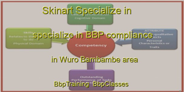 Skinart Specialize in specialize in BBP compliance in Wuro Bambambe area | BbpTraining | BbpClasses | SkinartTraining-Nigeria