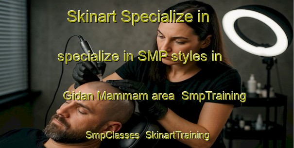 Skinart Specialize in specialize in SMP styles in Gidan Mammam area | SmpTraining | SmpClasses | SkinartTraining-Nigeria