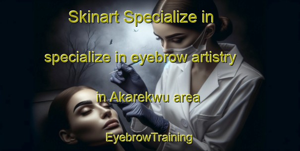 Skinart Specialize in specialize in eyebrow artistry in Akarekwu area | EyebrowTraining | EyebrowClasses | SkinartTraining-Nigeria