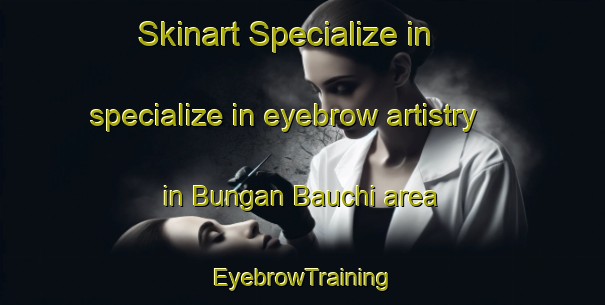 Skinart Specialize in specialize in eyebrow artistry in Bungan Bauchi area | EyebrowTraining | EyebrowClasses | SkinartTraining-Nigeria