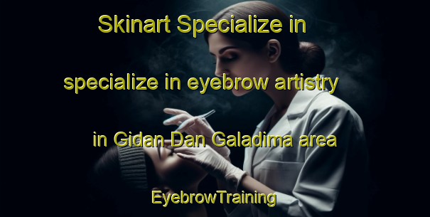 Skinart Specialize in specialize in eyebrow artistry in Gidan Dan Galadima area | EyebrowTraining | EyebrowClasses | SkinartTraining-Nigeria