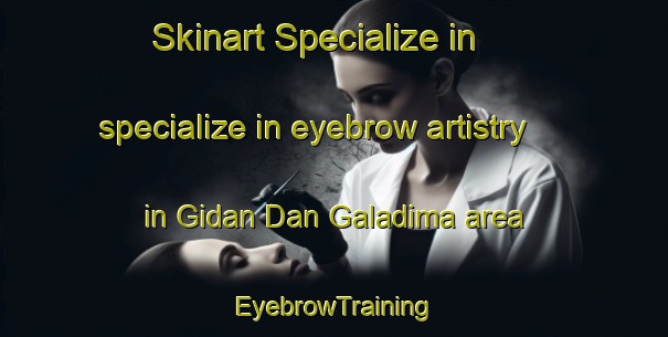 Skinart Specialize in specialize in eyebrow artistry in Gidan Dan Galadima area | EyebrowTraining | EyebrowClasses | SkinartTraining-Nigeria