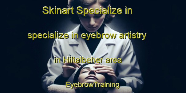 Skinart Specialize in specialize in eyebrow artistry in Hiltalbeher area | EyebrowTraining | EyebrowClasses | SkinartTraining-Nigeria