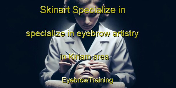 Skinart Specialize in specialize in eyebrow artistry in Kiriam area | EyebrowTraining | EyebrowClasses | SkinartTraining-Nigeria