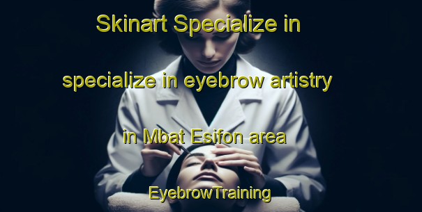 Skinart Specialize in specialize in eyebrow artistry in Mbat Esifon area | EyebrowTraining | EyebrowClasses | SkinartTraining-Nigeria
