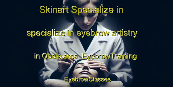 Skinart Specialize in specialize in eyebrow artistry in Obele area | EyebrowTraining | EyebrowClasses | SkinartTraining-Nigeria