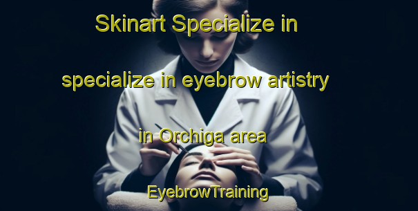 Skinart Specialize in specialize in eyebrow artistry in Orchiga area | EyebrowTraining | EyebrowClasses | SkinartTraining-Nigeria