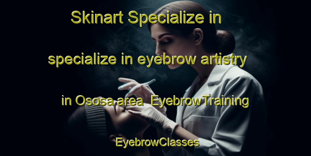 Skinart Specialize in specialize in eyebrow artistry in Ososa area | EyebrowTraining | EyebrowClasses | SkinartTraining-Nigeria