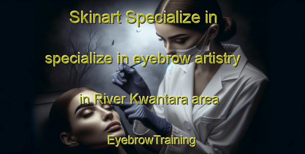 Skinart Specialize in specialize in eyebrow artistry in River Kwantara area | EyebrowTraining | EyebrowClasses | SkinartTraining-Nigeria