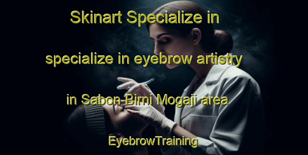 Skinart Specialize in specialize in eyebrow artistry in Sabon Birni Mogaji area | EyebrowTraining | EyebrowClasses | SkinartTraining-Nigeria