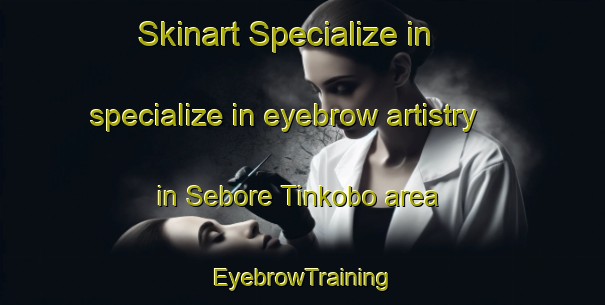 Skinart Specialize in specialize in eyebrow artistry in Sebore Tinkobo area | EyebrowTraining | EyebrowClasses | SkinartTraining-Nigeria