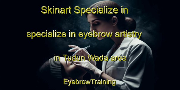 Skinart Specialize in specialize in eyebrow artistry in Tudun Wada area | EyebrowTraining | EyebrowClasses | SkinartTraining-Nigeria
