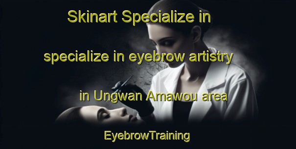 Skinart Specialize in specialize in eyebrow artistry in Ungwan Amawou area | EyebrowTraining | EyebrowClasses | SkinartTraining-Nigeria