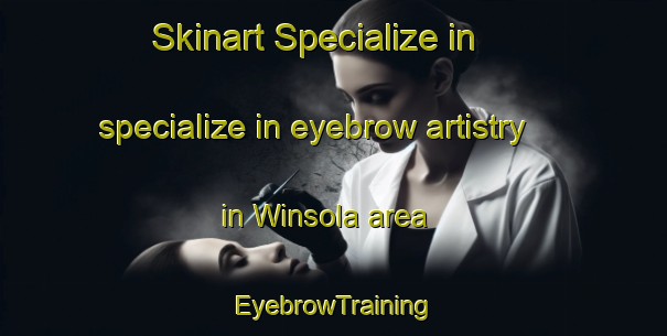 Skinart Specialize in specialize in eyebrow artistry in Winsola area | EyebrowTraining | EyebrowClasses | SkinartTraining-Nigeria