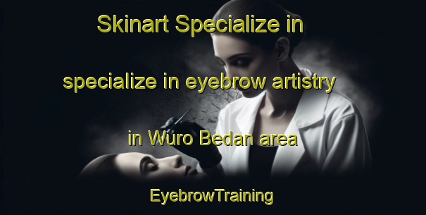 Skinart Specialize in specialize in eyebrow artistry in Wuro Bedan area | EyebrowTraining | EyebrowClasses | SkinartTraining-Nigeria