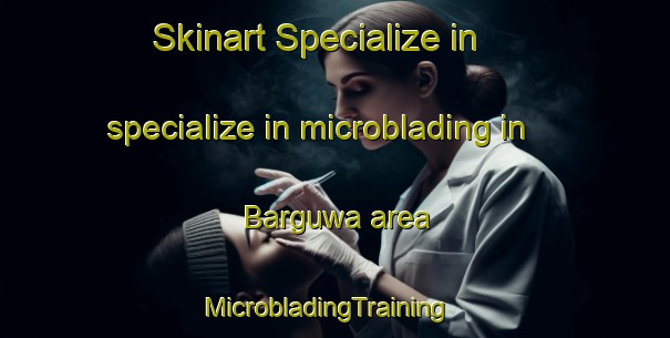 Skinart Specialize in specialize in microblading in Barguwa area | MicrobladingTraining | MicrobladingClasses | SkinartTraining-Nigeria